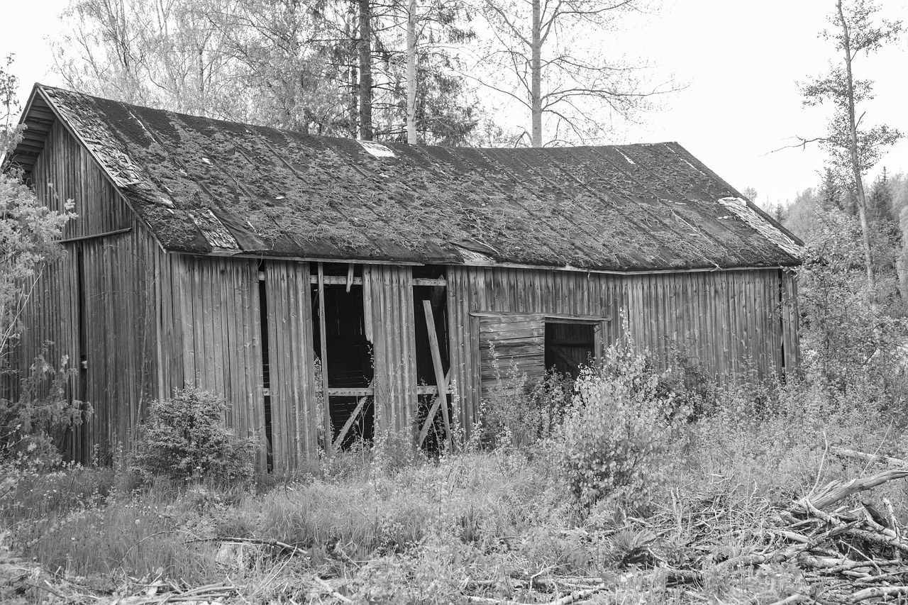 The Agricultural Revolution - Birth of Farming